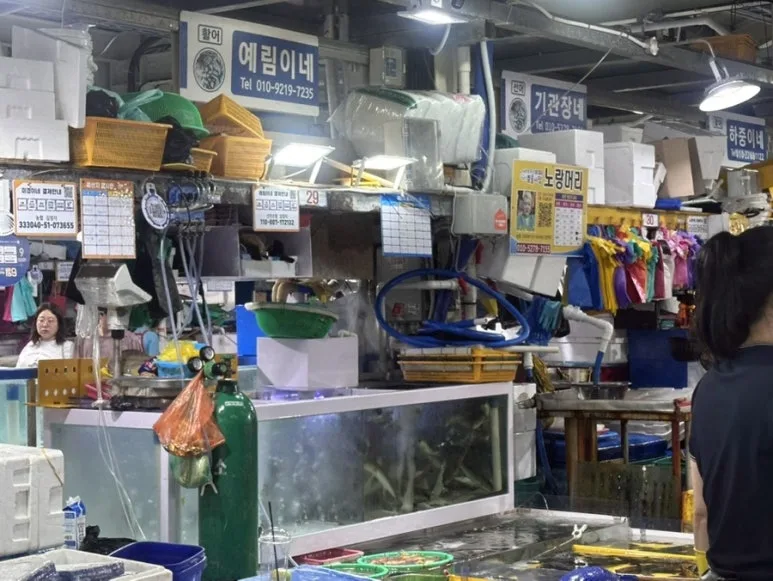 Fresh squid sashimi at Jumunjin Seafood Market in Gangneung